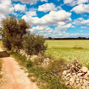 Arthouse Mit Haus Galeria 110qm Und Appartementhaus Mit Patio 30qm , Campos (Mallorca) Spanien